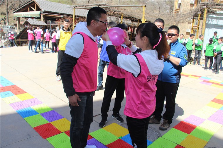 [上海金山博海拓展基地]+一日旅游團(tuán)建