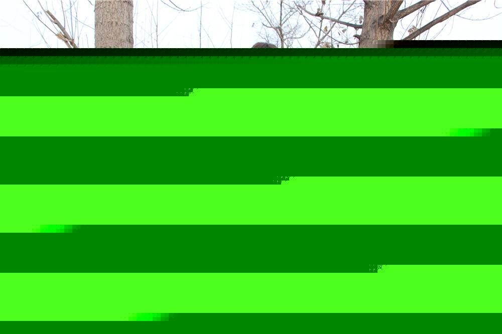 [昌平香堂國際]+戰(zhàn)狼特訓一日活動