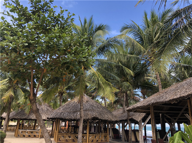 df796afe2bab5d000b5973c73362a174.jpg df796afe2bab5d000b5973c73362a174.jpg